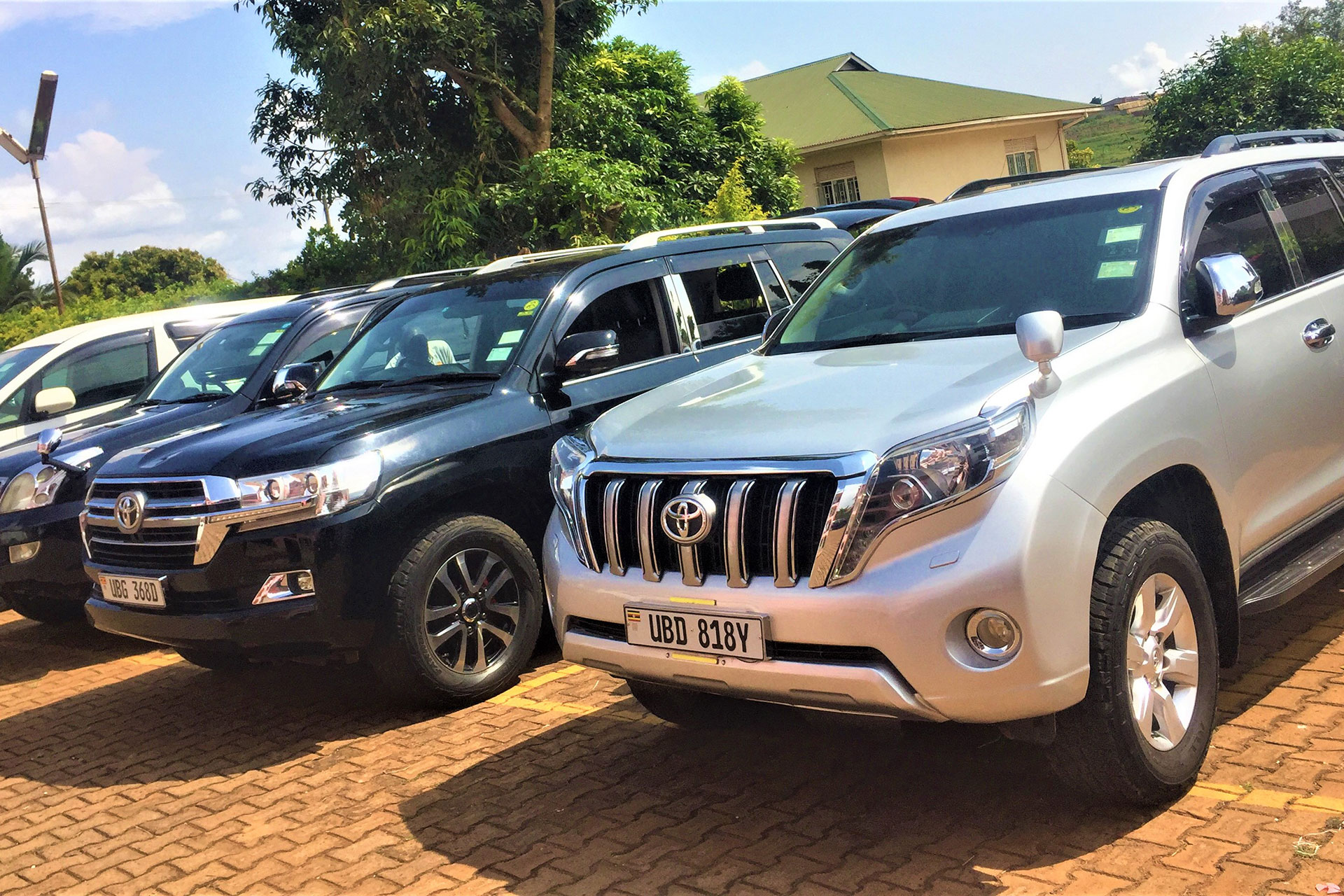 Car rental fleet