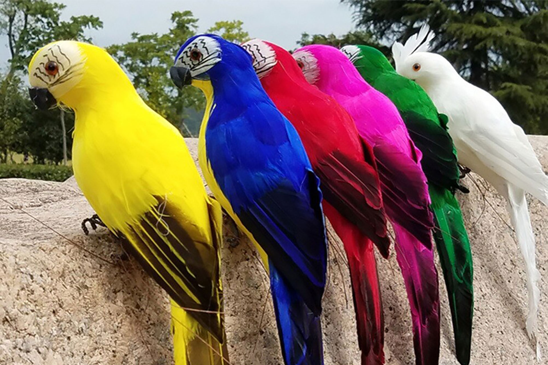 Diversity